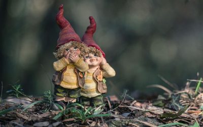 What is the cultural significance of gnomes?