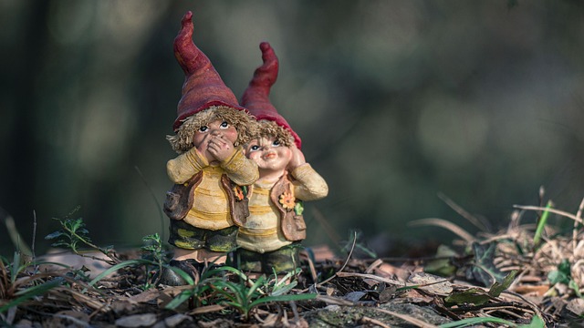 What is the cultural significance of gnomes?